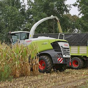 De nieuwe hakselaar beschikt over een shredlage-korrelkneuzer. Dat is het voornaamste verschil met de oude hakselaar van het loonbedrijf.