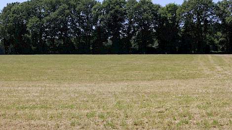 Topkuil › 'Nu eerst oude gras afmaaien' - Melkvee