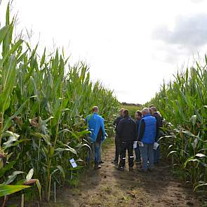 Na de aftrap van het evenement, werd de groep veehouders opgedeeld in acht groepen. Alle groepen volgden ook acht workshops. Bayer ging in op de actualiteit rond het toepassen van onderzaai of het direct inzaaien van het vanggewas bij de inzaai van de maï