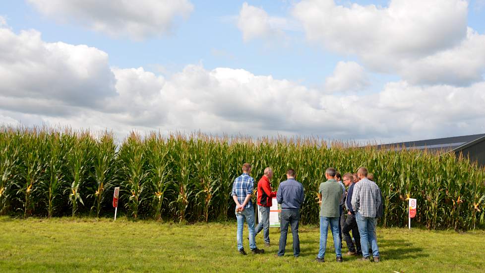 Limagrain toonde een aantal zeer vroege rassen met hoge cijfers voor zowel opbrengst als voederwaarde. Daarmee spelen ze in op de actualiteit rond het voor 1 oktober inzaaien van het vanggewas, wat volgend jaar verplicht wordt. „Een aantal zeer vroege ras