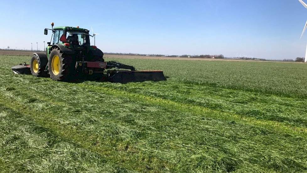 Al op 29 maart kwam er een mooie snede van dit eerstejaars perceel HAVERA 2, ingezaaid na de uien