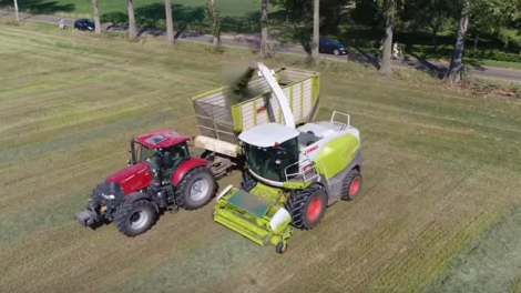 Herfstsnede geoogst met kwaliteit voorjaarsgras - Melkvee