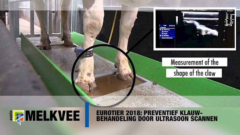 Klauwverzorging; voorkomen is beter dan genezen - EuroTier 2018