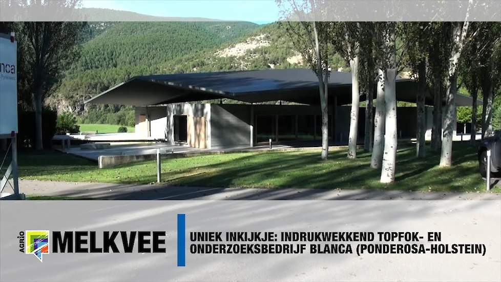 Uniek inkijkje: Indrukwekkend topfok- en onderzoeksbedrijf Blanca (Ponderosa-Holstein)