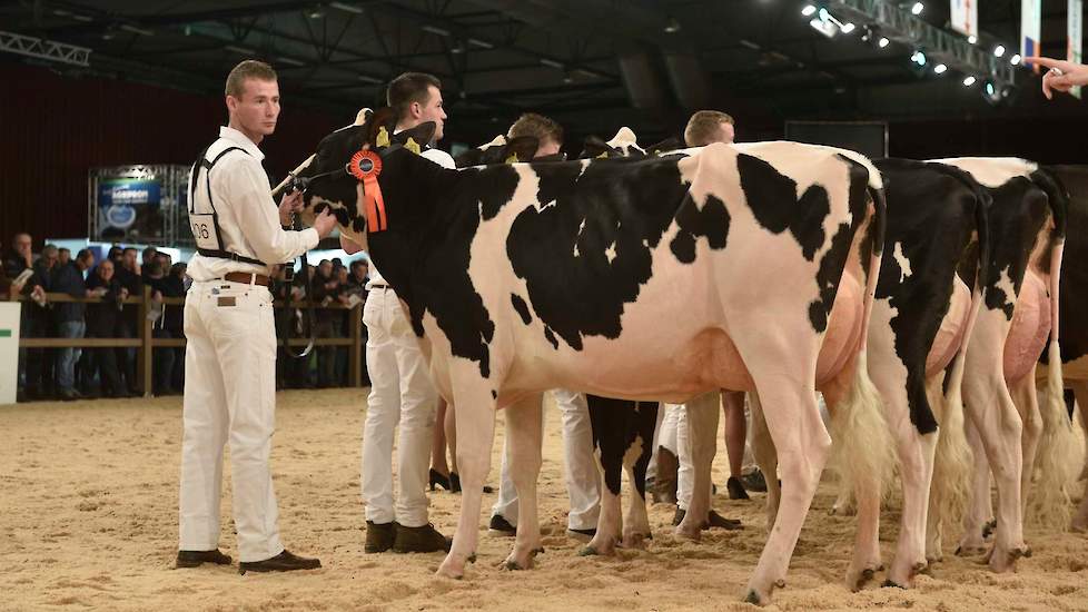 Op 1C kwam Windbrook-dochter Wilhelmina 566 van de familie Van Dijk-De Bruin uit Giessenburg.