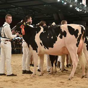 Op 1C kwam Windbrook-dochter Wilhelmina 566 van de familie Van Dijk-De Bruin uit Giessenburg.