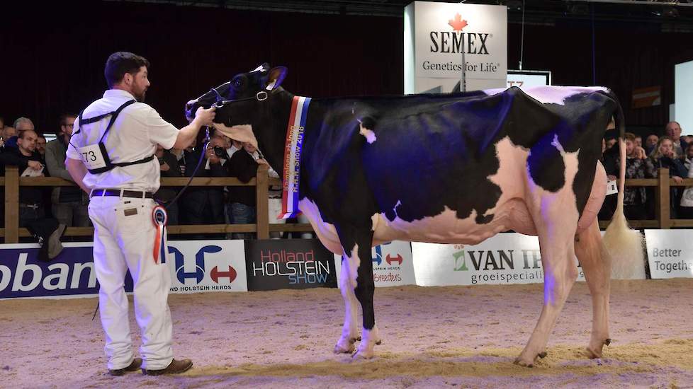 De vierde rubriek zwartbonte vaarzen was een prooi voor Giessen Charity 138 (Atwood x Million) van Theo van Vliet uit Nieuwlande. De vaars was zeer groot en had een beste uier.