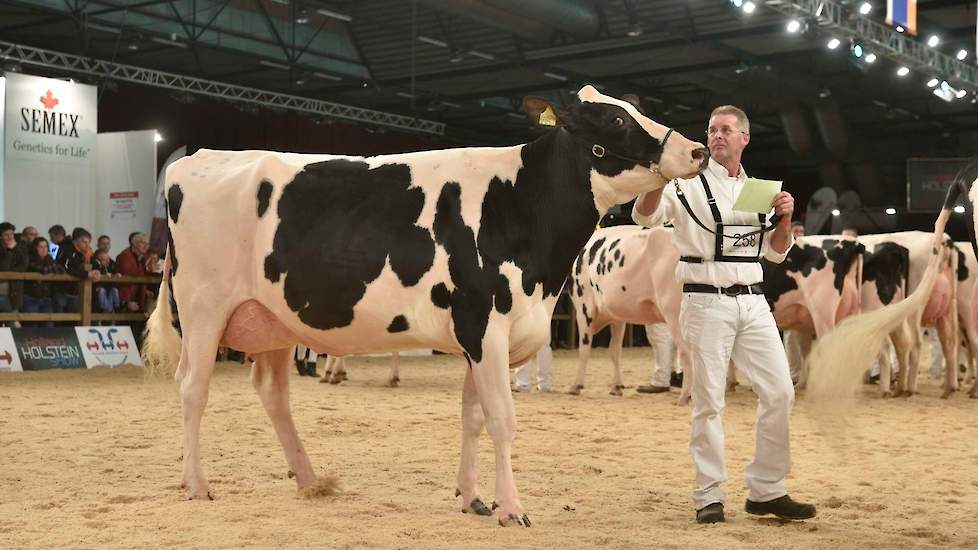 Mogul-dochter Zwarthak 271 van de familie Ton uit De Punt werd derde in deze rubriek.