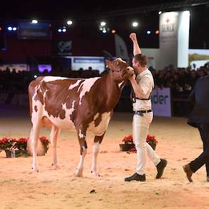 De ontlading is groot bij Ben Knoef als hij enigszins verrassend het kampioenschap pakt met Big Super Star 168.