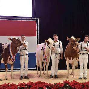 Het kampioenstrio van de roodbonte vaarzen met v.l.n.r.: kampioene Big Super Star 168, reservekampioene Bossink Rika 631 en als eervolle vermelding Jimm. Holstein Venetie 30.