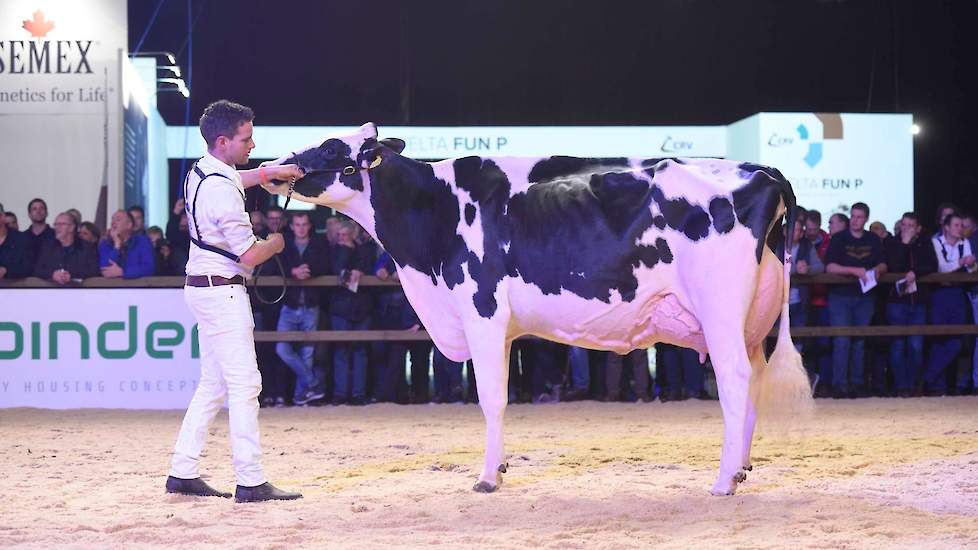 Dempsey-dochter Southland Dem Dellia 92 liep 1C in deze rubriek, maar zou later doorstoten naar het reservekampioenschap.