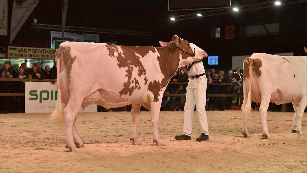 Olympiandochter Drouner Ajdh Aiko 1288 van Albring had zich uitstekend ontwikkeld sinds haar eervolle vermelding als vaars op de NRM van 2017 en belandde op de 1B-positie.