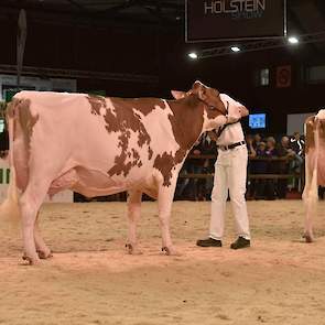 Olympiandochter Drouner Ajdh Aiko 1288 van Albring had zich uitstekend ontwikkeld sinds haar eervolle vermelding als vaars op de NRM van 2017 en belandde op de 1B-positie.