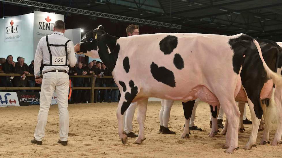 Op 1B kwam Hc Goldchip Par, een Gold Chip-dochter van familie De Vries uit Nij Beets.