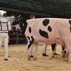 Op 1B kwam Hc Goldchip Par, een Gold Chip-dochter van familie De Vries uit Nij Beets.