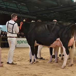 De fraaie Lauthority-dochter Geertje 608 van Van Dijk-De Bruin werd 1C in deze rubriek.