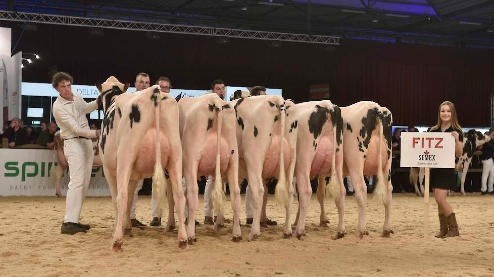 Ook Semex had nog geen overdreven selectiemogelijkheden voor de dochtergroep van Fitz (107 dochters op 50 bedrijven). Het vijftal dieren was uniform in de enorme hoogtemaat en de wat smalle bouw met wat platte ribben. De ondiepe uiers waren hoog en vast a