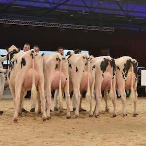 Ook Semex had nog geen overdreven selectiemogelijkheden voor de dochtergroep van Fitz (107 dochters op 50 bedrijven). Het vijftal dieren was uniform in de enorme hoogtemaat en de wat smalle bouw met wat platte ribben. De ondiepe uiers waren hoog en vast a