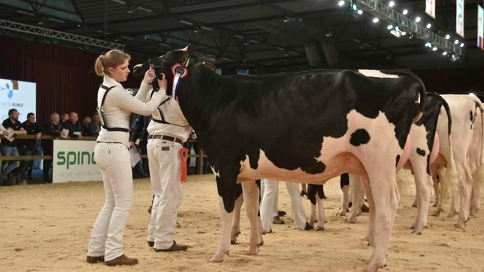 Bij de zwartbonte vaarzen pakte Topcross Anna 250 (Atwood x Outside) van de familie Jacobi uit Garijp de koppositie in de eerste rubriek. Ze zat goed in elkaar en had een ondiepe uier.