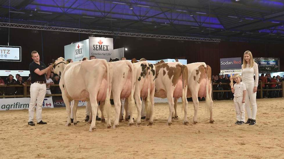 Masterrind kon voor de groep van Sodan-Red kiezen uit 48 dochters op 31 bedrijven. Het vijftal werd geopend door twee mooie, lange, gelijnde vaarzen. De overige hielden datzelfde type niet helemaal vast, maar alle vaarzen hadden goede, vast aangehechte ui