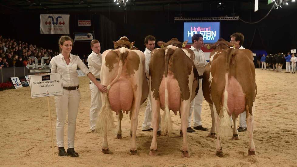 De vier roodbonte bedrijfsgroepen waren van uitstekende kwaliteit en waren zeer aan elkaar gewaagd. Toch sprong de groep van Steegink er nog bovenuit met dit drietal zeer goed bij elkaar passende, goed gebouwde dieren die ook individueel hoge ogen gooiden