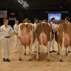 De vier roodbonte bedrijfsgroepen waren van uitstekende kwaliteit en waren zeer aan elkaar gewaagd. Toch sprong de groep van Steegink er nog bovenuit met dit drietal zeer goed bij elkaar passende, goed gebouwde dieren die ook individueel hoge ogen gooiden