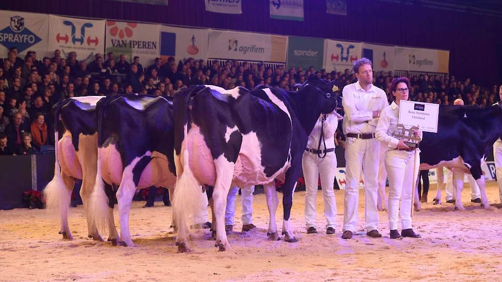 Bij de zwartbonten kwamen maar liefst acht groepen van zeer hoge kwaliteit in de ring. Phoenix koos voor de groep van Bons met veel individuele kwaliteit.