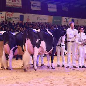 Bij de zwartbonten kwamen maar liefst acht groepen van zeer hoge kwaliteit in de ring. Phoenix koos voor de groep van Bons met veel individuele kwaliteit.