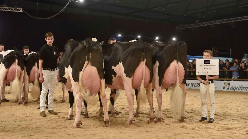 De groep van de familie Withaar-Prent uit Nijeveen had ook zo haar aanhangers onder het publiek. Een zeer fraai bij elkaar passend geheel met veel kwaliteit en een kopkoe die al meer dan 90.000 kg melk heeft gegeven.