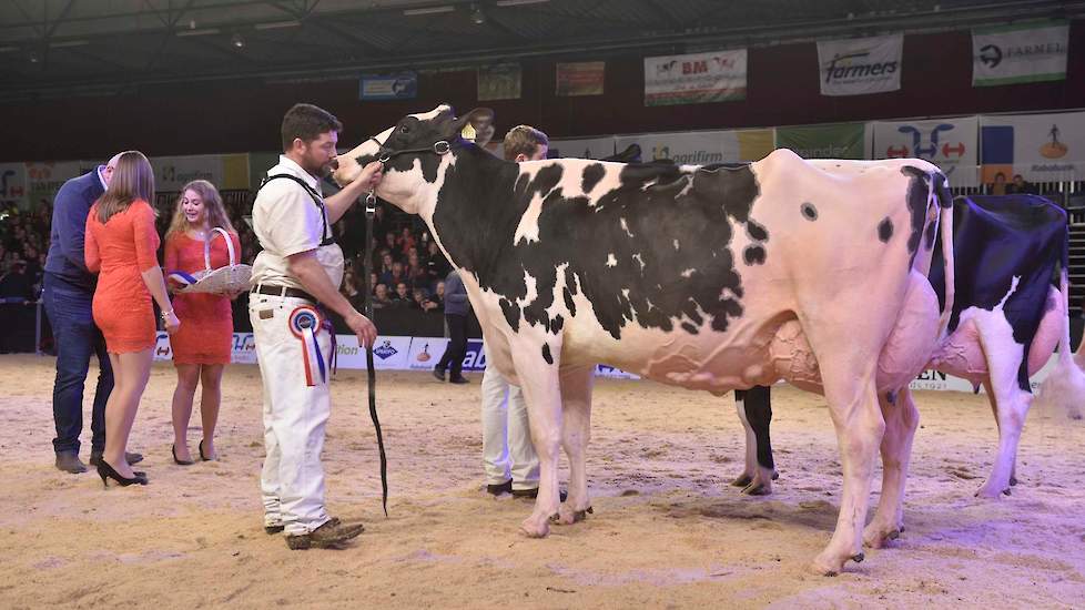 De eerste rubriek van de oudere zwartbonten werd gewonnen door Giessen Cinderella 79 (Atwood x Duplex) van Van Vliet, een grote, lange koe met een uitstekende uier.