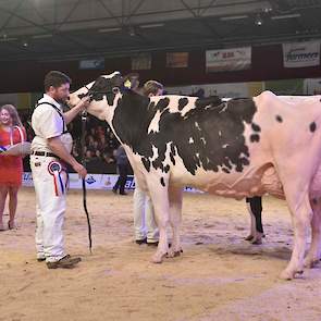 De eerste rubriek van de oudere zwartbonten werd gewonnen door Giessen Cinderella 79 (Atwood x Duplex) van Van Vliet, een grote, lange koe met een uitstekende uier.