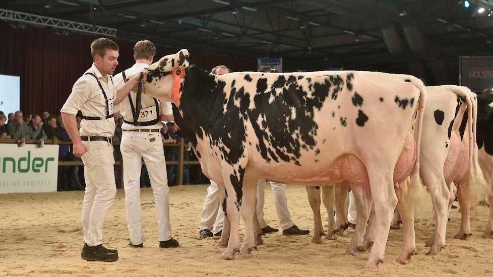 Big Emma 106, een zeer goed geuierde Detroit-dochter van Knoef kwam op de tweede plaats.