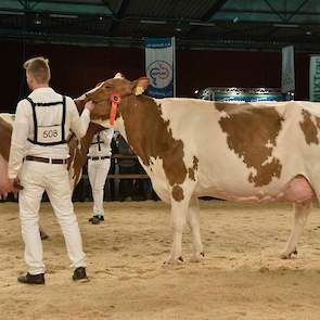 Op 1C kwam de harde, gelijnde Clara 17, een Jotan-dochter van de familie Schrijver uit Terwolde.