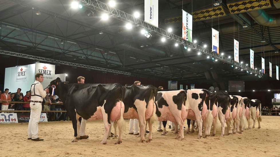 De laatste rubriek bij de zwartbonten kende een geweldig niveau. Diverse oud-kampioenes en keuringvedettes moesten genoegen nemen met een plaats in de achterhoede.