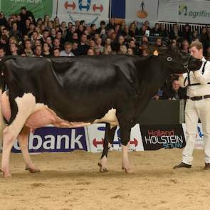 Op kop kwam de imponerende Drakkar Bulona (Hill x Goldwyn) van de combinatie Steegink/Kerssies.