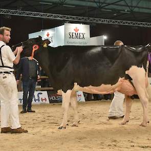 Windbrook-dochter Geertje 567 van Van Dijk-De Bruin heeft veel ras, een geweldige achteruier en beste benen, maar moest vanwege haar iets fijnere voorhand de voorstap laten aan Bulona.