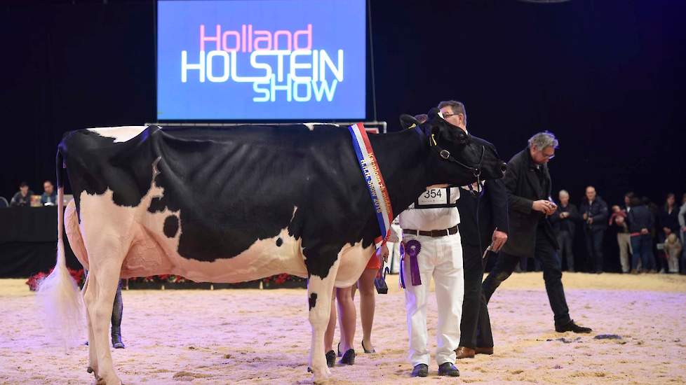 En ook bij de zwartbonten kon het kampioenschap niet ontgaan aan de kampioene van de middenklasse: Bons-Holsteins Koba 219.