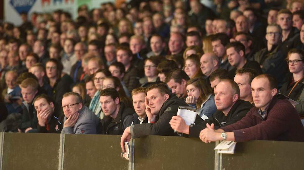 Het massaal opgekomen publiek was getuige van een indrukwekkende show op hoog niveau. Vooral de roodbonten kwamen ijzersterk voor de dag in Zwolle met goed gevulde, zeer aan elkaar gewaagde rubrieken, waarin schoonheid en functionaliteit hand in hand ging