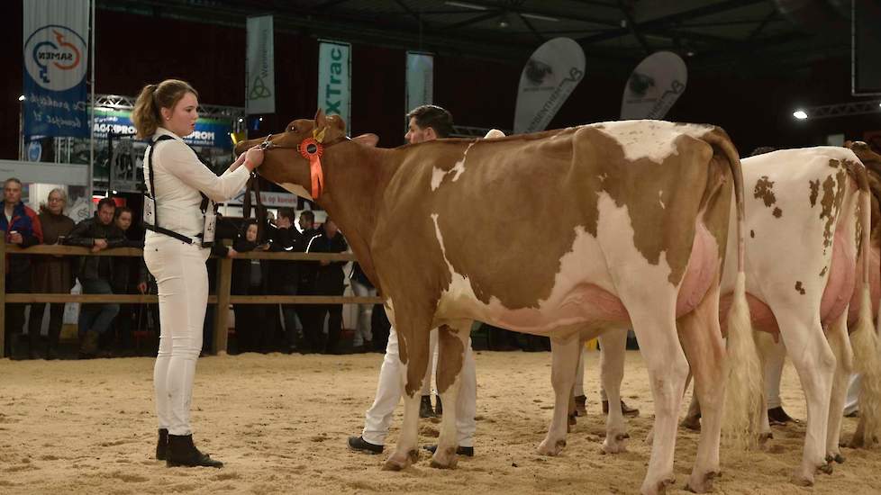 De grote, sterke Awesome-dochter Veenhuizer Daisy 2 van de familie Uineken uit Dalen kreeg de 1B-positie toebedeeld.