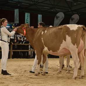 De grote, sterke Awesome-dochter Veenhuizer Daisy 2 van de familie Uineken uit Dalen kreeg de 1B-positie toebedeeld.