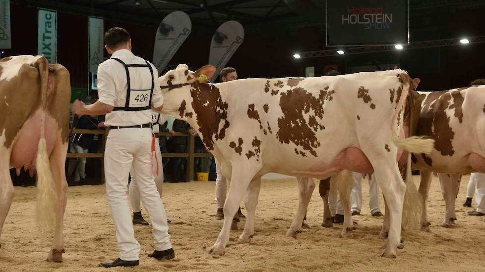 De 1C-positie was voor Barbwire-dochter Barendonk Wilma 380 van de familie Hermanussen uit Beers.