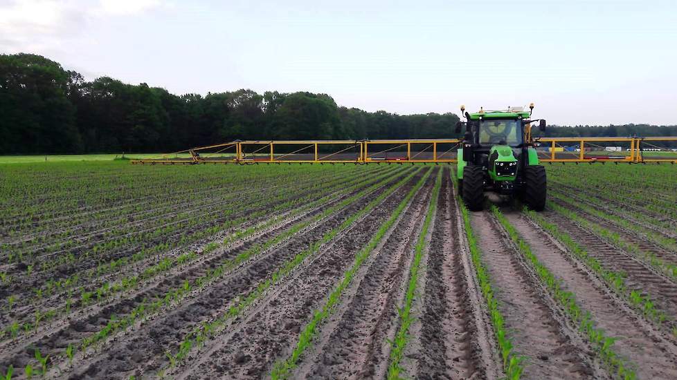 De bodemherbicide heeft zijn werk duidelijk prima gedaan, Hendrik voert zelf nog een onkruidbestrijding uit om het perceel schoon te houden