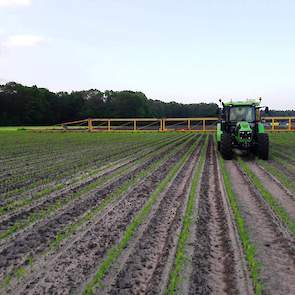 De bodemherbicide heeft zijn werk duidelijk prima gedaan, Hendrik voert zelf nog een onkruidbestrijding uit om het perceel schoon te houden