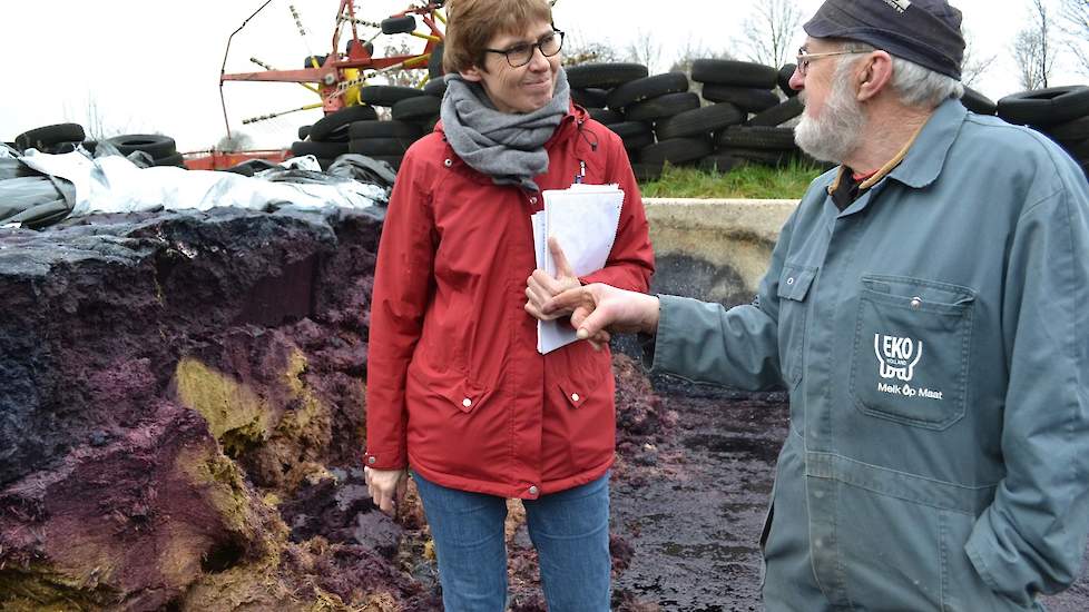 Vanwege het ruwvoertekort door de droogte van vorig jaar heeft Lozeman een kuil gemaakt van triticale-GPS die is afgedekt met rodebietenpulp, legt hij uit aan lerares Birgit Pannenbecker van de Keulse landbouwschool. Het vocht van de bieten zorgt voor een