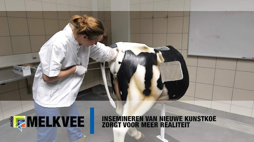 2019 02   Kunstkoe Universiteit Utrecht Diergeneeskunde