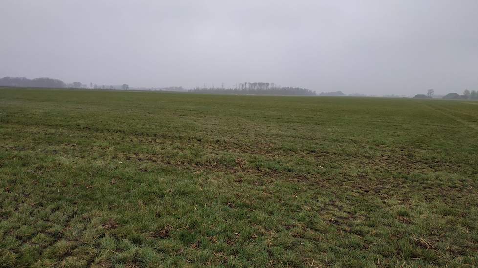 Het gras lijkt nog wat dor vanwege het dode gras wat erop ligt. „Dit gras verteert en vind je straks niet weer”, merkt Wolf. Op een aantal percelen heeft Bregman vaste mest gereden. „Dit heb ik op percelen gedaan die anders te nat zijn in het voorjaar. Me