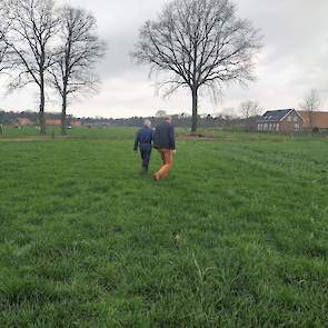 Na afloop lopen ze nog even het land in. De huidige grasopbrengst wordt geschat tussen de 1.200 en 1.500 kilo drogestof per hectare. De koeien (achtergrond) lopen ruim een week buiten. „De dagproductie is gestegen naar 37 kilo melk per koe”, aldus Ten Dam