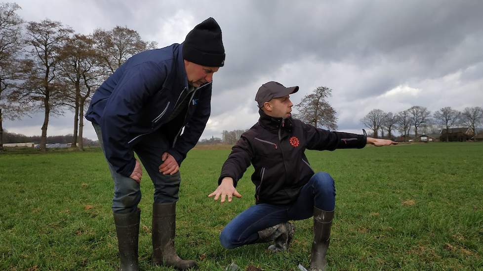 De ruwvoerspecialist adviseert niet te lang te wachten met doorzaaien. “Als het komende week weer mooi weer wordt kan het nog wel. Maar als het eenmaal aan de groei is niet meer. Dan is er te veel concurrentie van het bestaande gras. Bij het doorzaaien zo