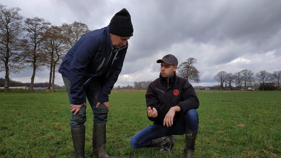 Ten Dam vraagt of hij hoge droge koppen niet beter kan doorzaaien met rietzwenkgras. Oevermans raadt dit in zijn geval af. “Het klopt dat rietzwenk wat beter tegen droogte kan, maar je kunt het alleen maaien en niet weiden. De koeien vreten het niet.” “Oo