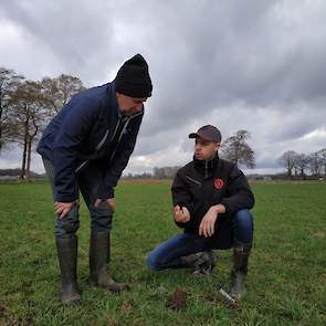 Ten Dam vraagt of hij hoge droge koppen niet beter kan doorzaaien met rietzwenkgras. Oevermans raadt dit in zijn geval af. “Het klopt dat rietzwenk wat beter tegen droogte kan, maar je kunt het alleen maaien en niet weiden. De koeien vreten het niet.” “Oo